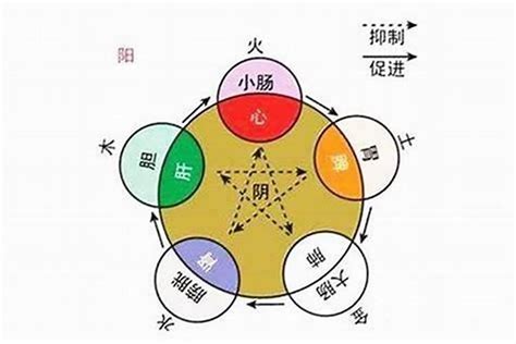 旭的五行|旭在八字中有什么意思 (旭字的五行属性是什么)